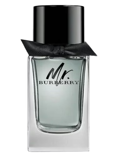 Mr. Burberry Burberry